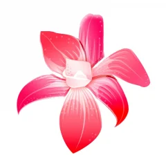 Салон Орхидея на улице Гончарова логотип